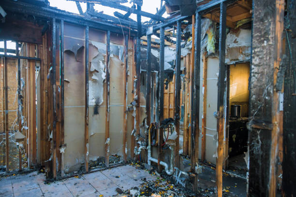 Professional Fire Damage Removal technician working in Walnut Ridge, AR